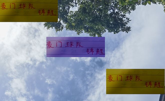 安是柏杨 申花是于汉超 海港你认为是谁z