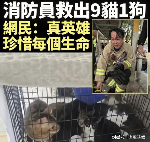 资清单背后是令人心碎的现实尊龙凯时香港向内地求援的物(图4)